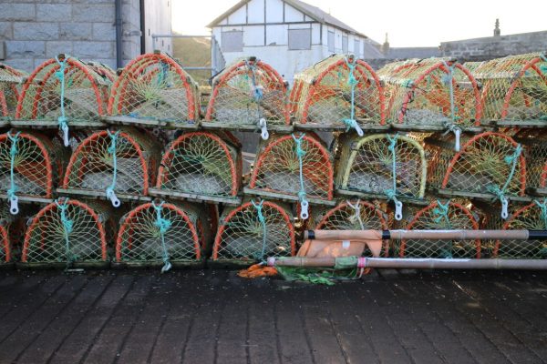 Meet our Future Makers 2018: Lois Jane Wiseman