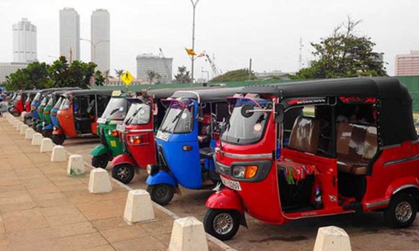 Spotted 2018 : Interview with Jess Davids