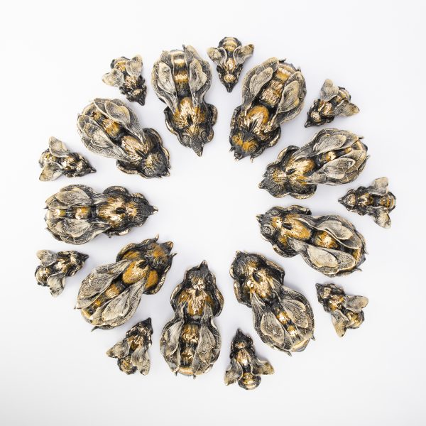 Entomagical by Anna Collette Hunt