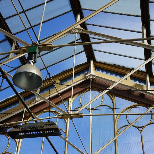 Social Media Content & Schedule